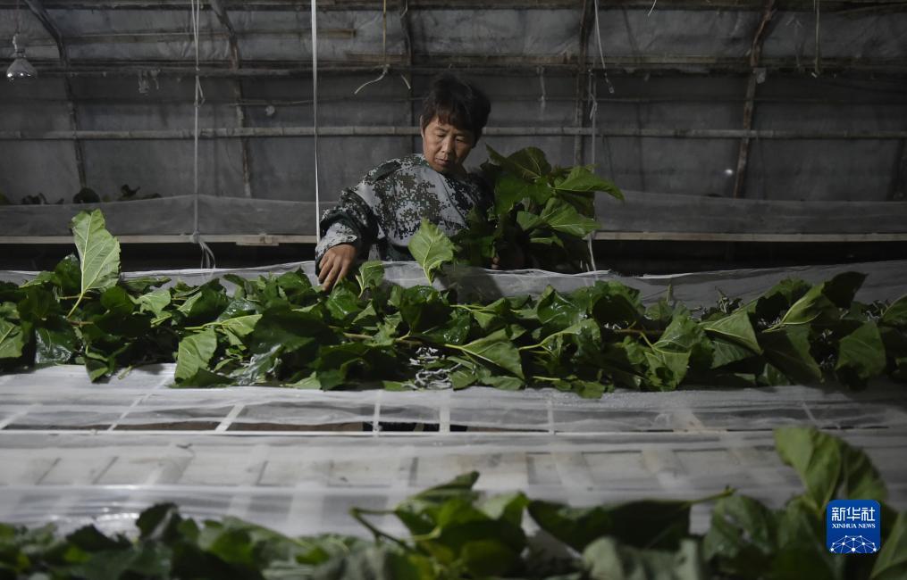 百人牛牛单机游戏